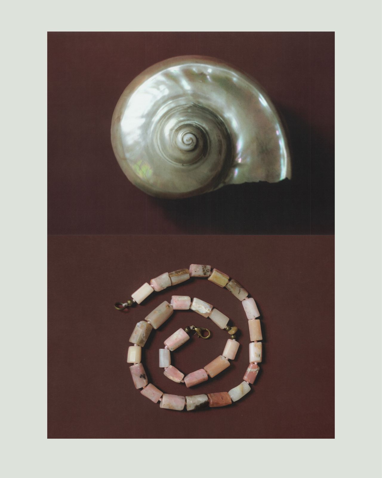 Mior Sempiterno still life: pearl shell and pink opal necklace